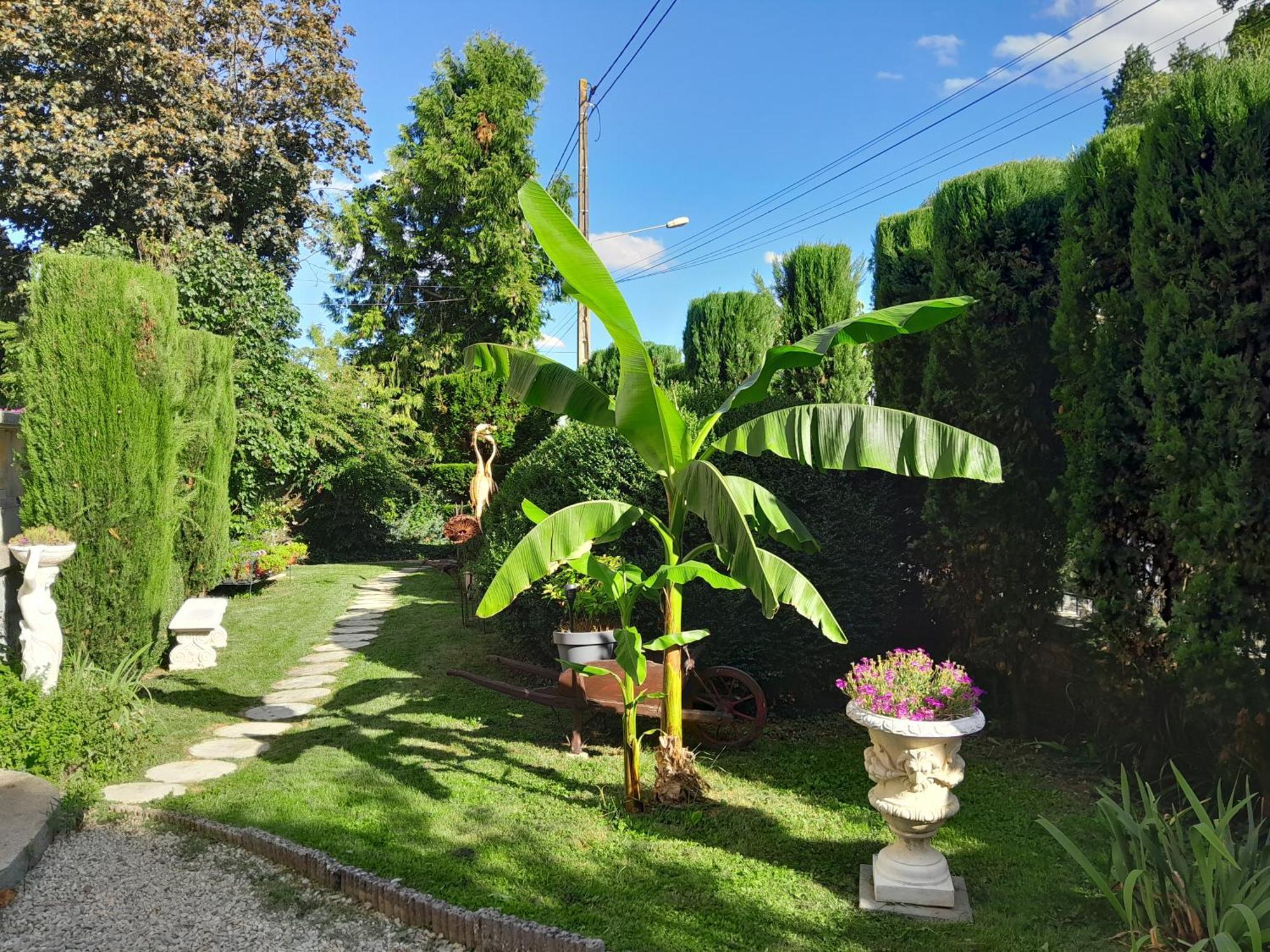 Bed and Breakfast Le Madrigal Mamers Экстерьер фото